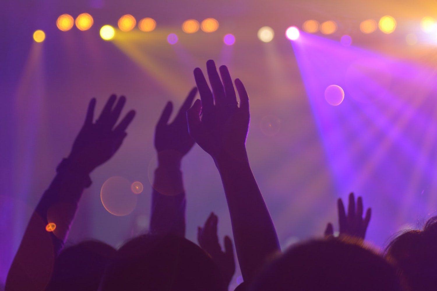 People at a concert
