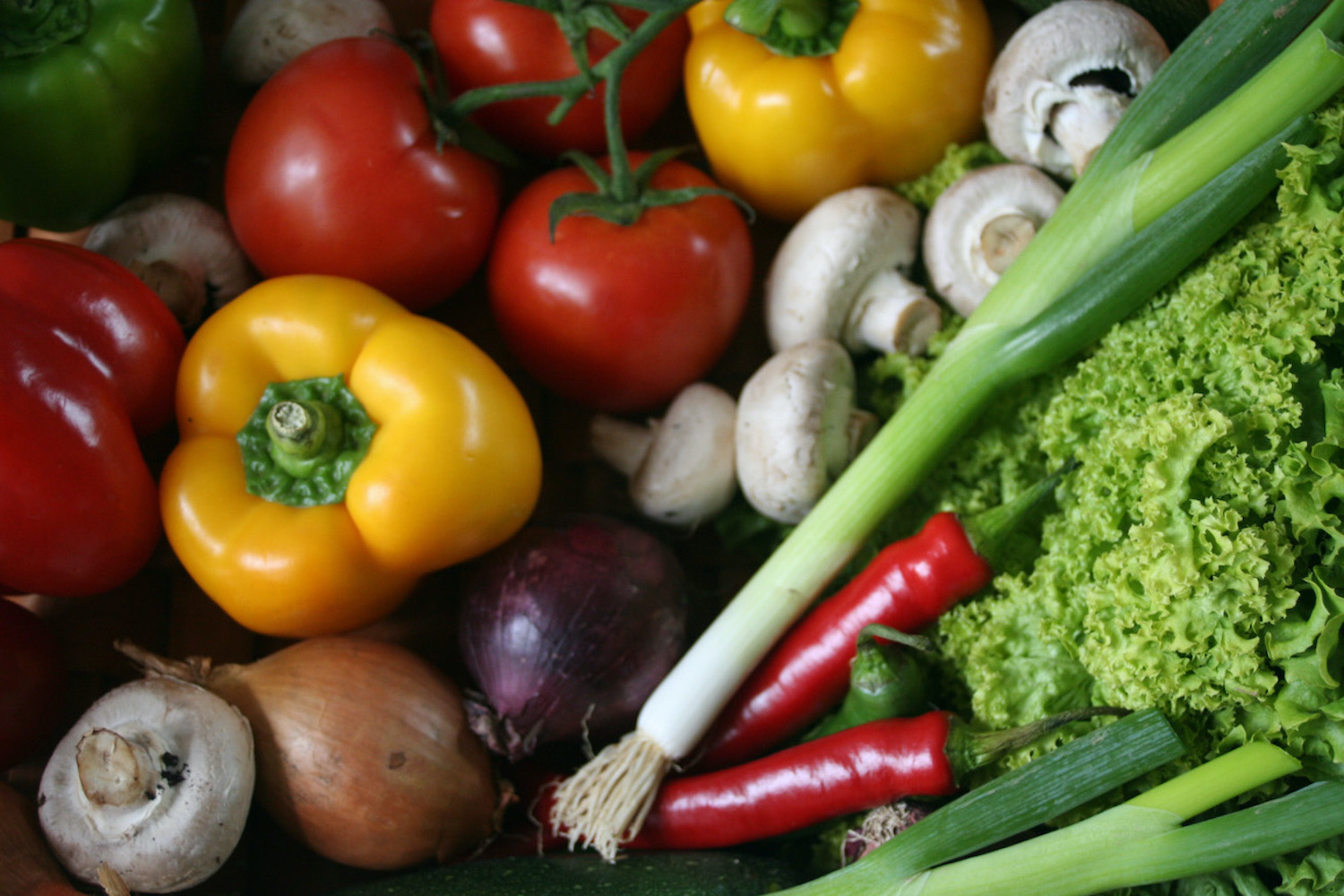 Lots of fresh vegetables
